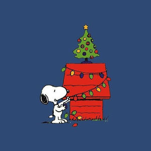 Meet your Posher, Brennah